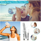 Pureion Stainless Steel Alkaline Water Stick